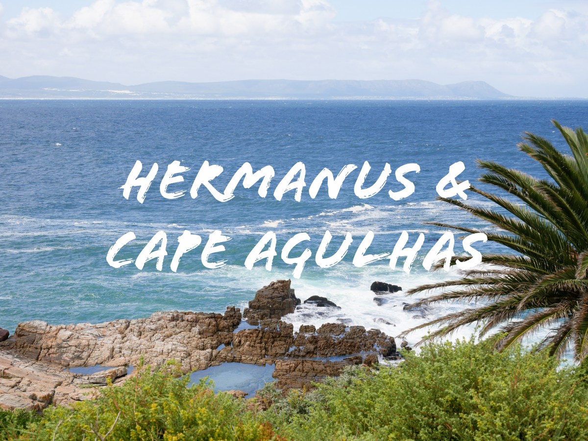 2 jours entre Betty&rsquo;s Bay et Cape Agulhas, via&nbsp;Hermanus