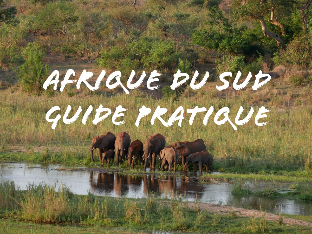 Afrique du Sud – Guide&nbsp;pratique