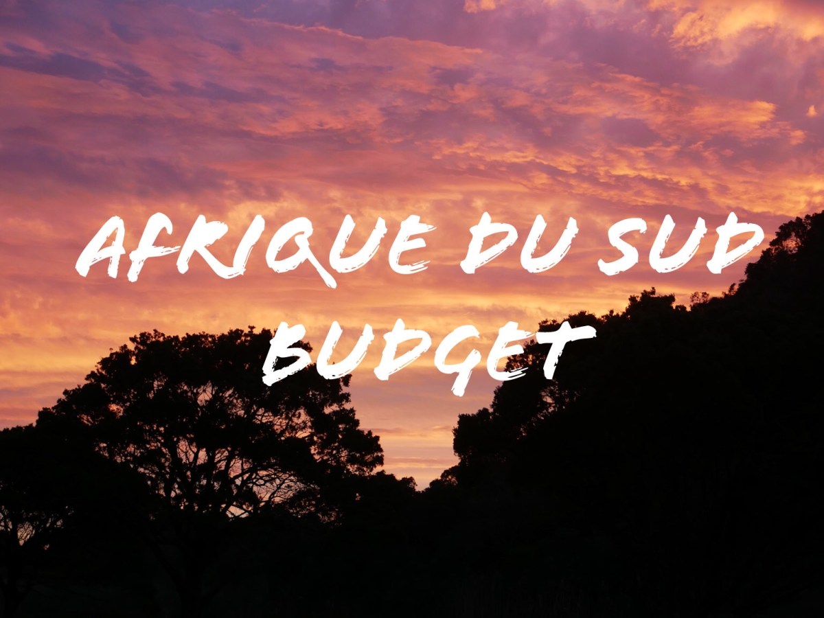 Afrique du Sud – Le&nbsp;budget